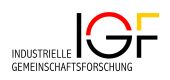 IFG_Logo_2024